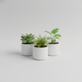 Faux Potted Plant Trio